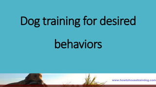 Dog training for desired
behaviors
 