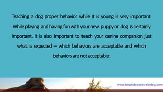 Teaching a dog proper behavior while it is young is very important.
Whileplaying andhavingfunwithyournew puppyor dog iscertainly
important, it is also important to teach your canine companion just
what is expected – which behaviors are acceptable and which
behaviorsarenotacceptable.
 