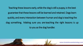 Teachingtheselessonsearly,whilethedogisstillapuppy,isthebest
guaranteethattheselessonswillbelearnedandretained.Dogslearn
quickly,andeveryinteractionbetweenhumananddogisteachingthe
dog something. Making sure you areteaching the right lessons is up
toyouasthedoghandler.
 