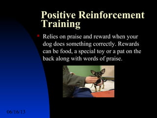 06/16/13 http://www.ad2action.com/8/899709xuu17y/11
Positive Reinforcement
Training
 Relies on praise and reward when your
dog does something correctly. Rewards
can be food, a special toy or a pat on the
back along with words of praise.
 