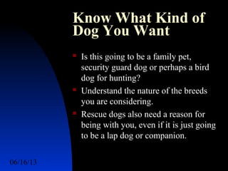 06/16/13 http://www.ad2action.com/8/899709xuu17y/15
Know What Kind of
Dog You Want
 Is this going to be a family pet,
security guard dog or perhaps a bird
dog for hunting?
 Understand the nature of the breeds
you are considering.
 Rescue dogs also need a reason for
being with you, even if it is just going
to be a lap dog or companion.
 