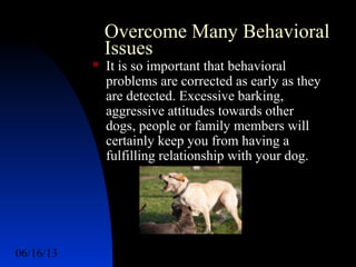 06/16/13 http://www.ad2action.com/8/899709xuu17y/4
Overcome Many Behavioral
Issues
 It is so important that behavioral
problems are corrected as early as they
are detected. Excessive barking,
aggressive attitudes towards other
dogs, people or family members will
certainly keep you from having a
fulfilling relationship with your dog.
 