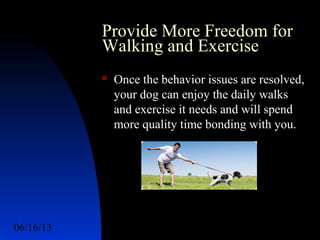 06/16/13 http://www.ad2action.com/8/899709xuu17y/5
Provide More Freedom for
Walking and Exercise
 Once the behavior issues are resolved,
your dog can enjoy the daily walks
and exercise it needs and will spend
more quality time bonding with you.
 