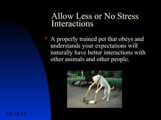 06/16/13 http://www.ad2action.com/8/899709xuu17y/6
Allow Less or No Stress
Interactions
 A properly trained pet that obeys and
understands your expectations will
naturally have better interactions with
other animals and other people.
 