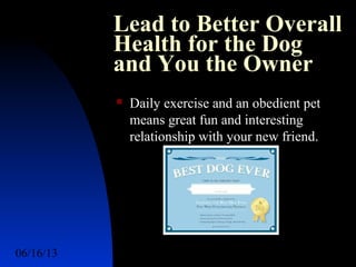06/16/13 http://www.ad2action.com/8/899709xuu17y/7
Lead to Better Overall
Health for the Dog
and You the Owner
 Daily exercise and an obedient pet
means great fun and interesting
relationship with your new friend.
 
