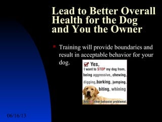 06/16/13 http://www.ad2action.com/8/899709xuu17y/8
Lead to Better Overall
Health for the Dog
and You the Owner
 Training will provide boundaries and
result in acceptable behavior for your
dog.
 