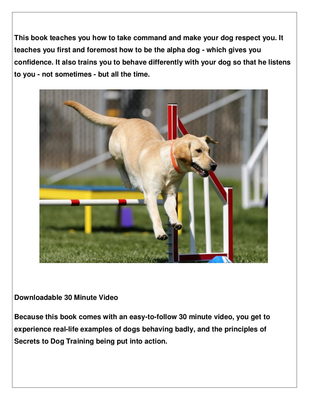 Dog training fundamentals 5 key dog behaviour factors that affect