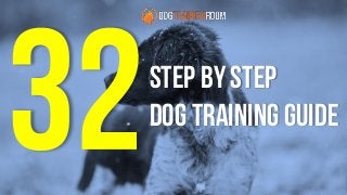 step by step
dog training guide
 