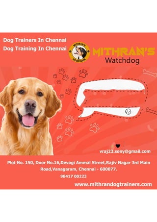 Dog Training In Chennai.pdf