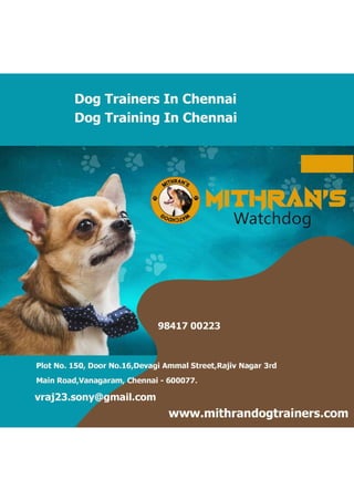 Dog Training In Chennai.pdf