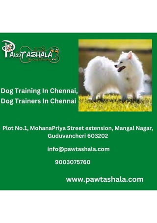Dog Training In Chennai,.pdf