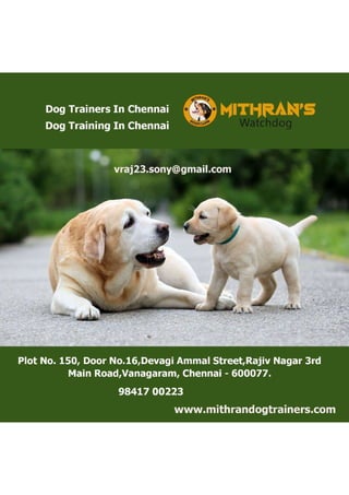 Dog Training In Chennai (2).pdf