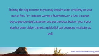 Training thedogtocome toyoumay requiresome creativityonyour
partatfirst.For instance,wavingafavoritetoy,or alure,isagreat
waytogetyourdog’sattentionandputthefocusbackonyou.Ifyour
doghasbeenclickertrained,aquickclickcanbeagoodmotivatoras
well.
 