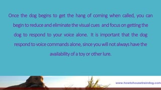 Once the dog begins to get the hang of coming when called, you can
begintoreduceandeliminatethevisualcues andfocusongettingthe
dog to respond to your voice alone. It is important that the dog
respondtovoicecommandsalone,sinceyouwillnotalwayshavethe
availabilityofatoyorotherlure.
 