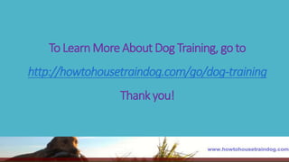 To LearnMore About Dog Training, go to
http://howtohousetraindog.com/go/dog-training
Thankyou!
 