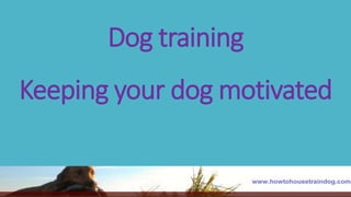 Dog training
Keeping your dog motivated
 