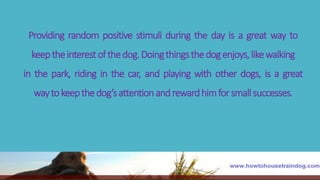 Providing random positive stimuli during the day is a great way to
keeptheinterestofthedog.Doingthingsthedogenjoys,likewalking
in the park, riding in the car, and playing with other dogs, is a great
waytokeepthedog’sattentionandrewardhimforsmallsuccesses.
 
