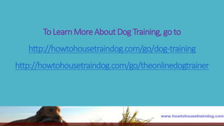 To LearnMoreAboutDogTraining,go to
http://howtohousetraindog.com/go/dog-training
http://howtohousetraindog.com/go/theonlinedogtrainer
 