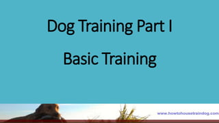 Dog Training Part I
Basic Training
 