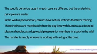 Thespecificbehaviorstaughtineachcasearedifferent,buttheunderlying
principlesaresimilar.
Inthewildaspackanimals,canineshavenaturalinstinctsthatfavortraining.
Theseinstinctsaremanifestedwhenthedogliveswithhumansasadesireto
pleaseahandler,asadogwouldpleaseseniormembersinapackinthewild.
Thehandlerissimplywhoeverisworkingwithadogatthetime.
 