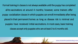 Formaltraininginclassesisnotalwaysavailableuntilthepuppyhascompleted
allitsvaccinations at around 4 months; however, some trainers offer
puppy socializationclassesinwhichpuppiescanenrollimmediatelyafterbeing
placedintheirpermanenthomes as long as disease risk is minimal and
puppies have receieved initialvaccinations.Inmostcases,basictraining
classesacceptonlypuppieswhoareatleast3to6monthsold.
 