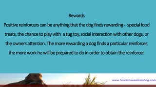 Rewarded Dog Dog training part iv - reward and punishment | PPTX
