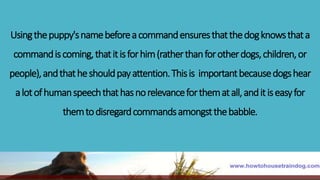 Usingthepuppy'snamebeforeacommandensuresthatthedogknowsthata
commandiscoming,thatitisforhim(ratherthanforotherdogs,children,or
people),andthatheshouldpayattention.Thisis importantbecausedogshear
alotofhumanspeechthathasnorelevanceforthematall,anditiseasyfor
themtodisregardcommandsamongstthebabble.
 
