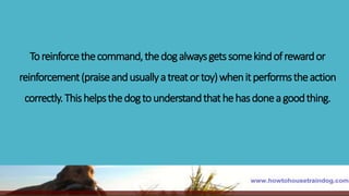 Toreinforcethecommand,thedogalwaysgetssomekindofrewardor
reinforcement(praiseandusuallyatreatortoy)whenitperformstheaction
correctly.Thishelpsthedogtounderstandthathehasdoneagoodthing.
 