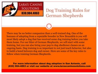 Dog Training Rules for
German Shepherds
For more information about dog adoption in San Antonio, call
(830) 904-4863 or visit our website at www.larascaninesolutions.com
There may be no better companion than a well-trained dog. One of the
bonuses of adopting from a reputable breeder in New Braunfels is you will
most likely adopt a dog that has received some dog training before you take
them home. For our litter of German Shepherds, we will start with some
training, but you can also bring your pup to dog obedience classes on an
ongoing basis. Dog training is so important to not just teach behavior, but also
to build a bond between dog and owner. Here are some of the key rules to
follow when training German Shepherds.
 