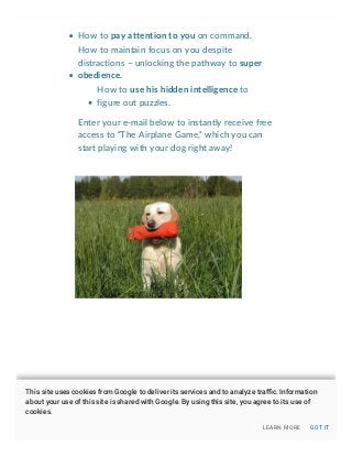 Dog training tips and tricks Slide 5
