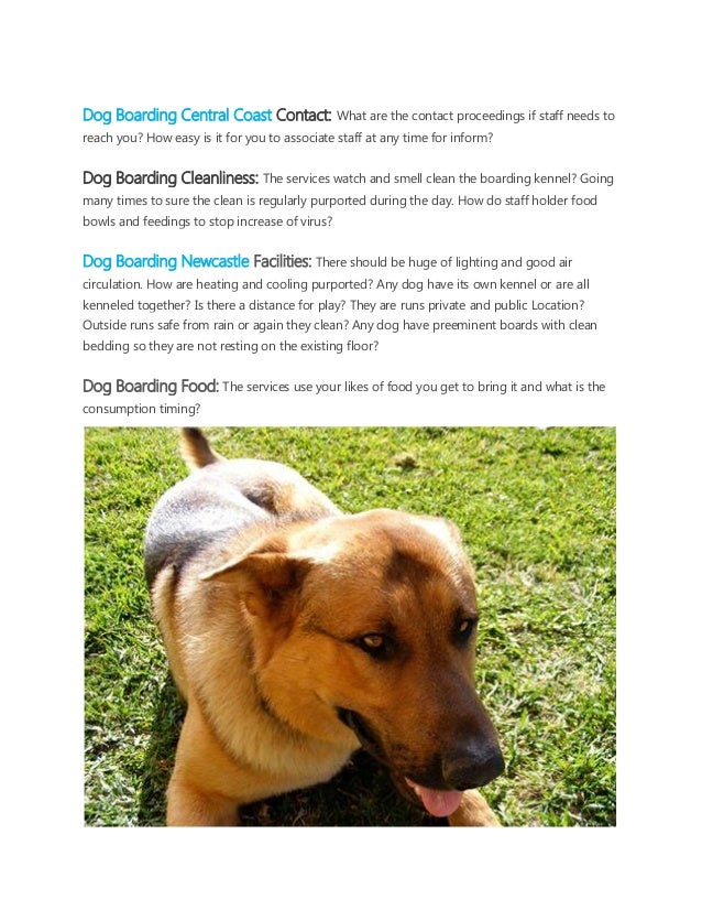 dog trainers central coast