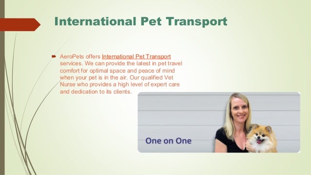 pet to vet transport