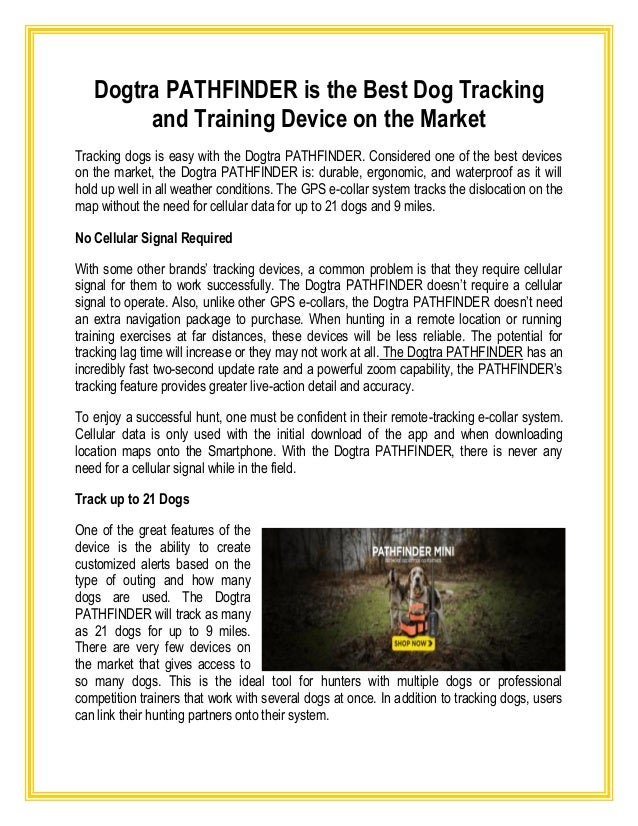 dog tracking training