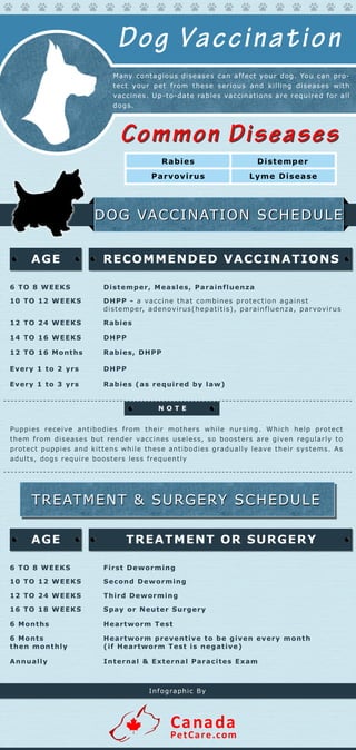 AGE RECOMMENDED VACCINATIONS
Many contagiousdiseasescan affectyourdog.You can pro-
tectyourpetfrom these serious and killing diseases with
vaccines.Up-to-daterabiesvaccinationsarerequired forall
dogs.
Puppies receive antibodies from their mothers while nursing. Which help protect
them from diseasesbutrendervaccinesuseless,so boostersare given regularly to
protectpuppiesand kittenswhiletheseantibodiesgraduallyleavetheirsystems.As
adults,dogsrequireboosterslessfrequently
------------------------------------------------------------------------------------------------
------------------------------------------------------------------------------------------------
DogVaccination
CommonDiseasesCommonDiseases
Rabies Distem per
Parvovirus Lym e Disease
DOG VACCINATION SCHEDULEDOG VACCINATION SCHEDULE
TREATMENT & SURGERY SCHEDULETREATMENT & SURGERY SCHEDULE
6 TO 8 W EEKS Distem per,Measles,Parainfluenza
10 TO 12 W EEKS DHPP -a vaccinethatcombinesprotection against
distemper,adenovirus(hepatitis),parainfluenza,parvovirus
12 TO 24 W EEKS Rabies
14 TO 16 W EEKS DHPP
12 TO 16 Months Rabies,DHPP
Every 1 to 2 yrs DHPP
AGE
InfographicBy
TREATMENT OR SURGERY
6 TO 8 W EEKS FirstDeworm ing
10 TO 12 W EEKS Second Deworm ing
12 TO 24 W EEKS Third Deworm ing
16 TO 18 W EEKS Spay orNeuterSurgery
6 Months Heartworm Test
6 Monts
then m onthly
Heartworm preventive to be given every m onth
(ifHeartworm Testisnegative)
Annually Internal& ExternalParacitesExam
Canada
PetCare.com
Every 1 to 3 yrs Rabies(asrequired by law)
N O TE
 