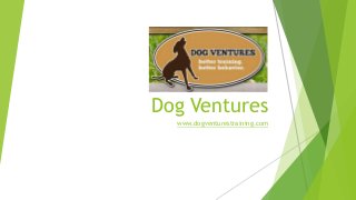 Dog Ventures
www.dogventurestraining.com
 