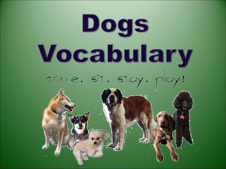 Dog vocabulary