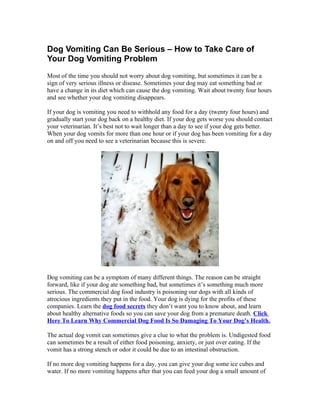 Dog Vomiting Can Be Serious – How to Take Care of
Your Dog Vomiting Problem
Most of the time you should not worry about dog vomiting, but sometimes it can be a
sign of very serious illness or disease. Sometimes your dog may eat something bad or
have a change in its diet which can cause the dog vomiting. Wait about twenty four hours
and see whether your dog vomiting disappears.

If your dog is vomiting you need to withhold any food for a day (twenty four hours) and
gradually start your dog back on a healthy diet. If your dog gets worse you should contact
your veterinarian. It’s best not to wait longer than a day to see if your dog gets better.
When your dog vomits for more than one hour or if your dog has been vomiting for a day
on and off you need to see a veterinarian because this is severe.




Dog vomiting can be a symptom of many different things. The reason can be straight
forward, like if your dog ate something bad, but sometimes it’s something much more
serious. The commercial dog food industry is poisoning our dogs with all kinds of
atrocious ingredients they put in the food. Your dog is dying for the profits of these
companies. Learn the dog food secrets they don’t want you to know about, and learn
about healthy alternative foods so you can save your dog from a premature death. Click
Here To Learn Why Commercial Dog Food Is So Damaging To Your Dog’s Health.

The actual dog vomit can sometimes give a clue to what the problem is. Undigested food
can sometimes be a result of either food poisoning, anxiety, or just over eating. If the
vomit has a strong stench or odor it could be due to an intestinal obstruction.

If no more dog vomiting happens for a day, you can give your dog some ice cubes and
water. If no more vomiting happens after that you can feed your dog a small amount of
 