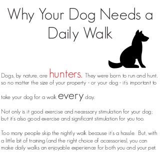 Dogs, by nature, are hunters. They were born to run and hunt,
so no matter the size of your property - or your dog - it's important to
take your dog for a walk everyday.
Not only is it good exercise and necessary stimulation for your dog;
but it's also good exercise and significant stimulation for you too.
Too many people skip the nightly walk because it's a hassle. But, with
a little bit of training (and the right choice of accessories), you can
make daily walks an enjoyable experience for both you and your pet.
Why Your Dog Needs a
Daily Walk
 