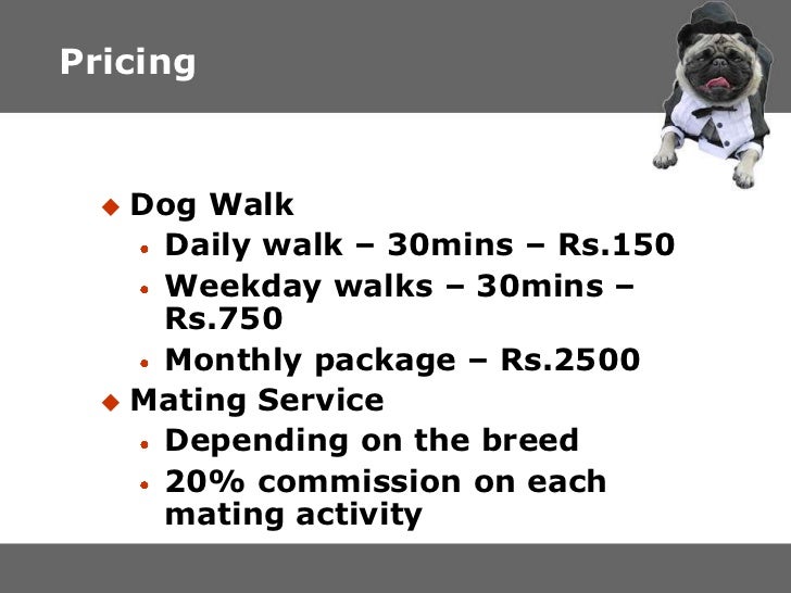 Dog Food Wholesalers In Mumbai Dog Food Wholesalers In Mumbai