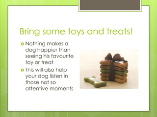 Bring some toys and treats!
 Nothing    makes a
  dog happier than
  seeing his favourite
  toy or treat
 This will also help
  your dog listen in
  those not so
  attentive moments
 