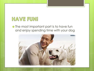  The
    most important part is to have fun
 and enjoy spending time with your dog
 