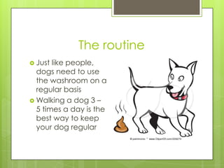 The routine
 Just like people,
  dogs need to use
  the washroom on a
  regular basis
 Walking a dog 3 –
  5 times a day is the
  best way to keep
  your dog regular
 