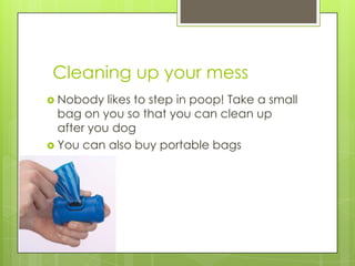 Cleaning up your mess
 Nobody   likes to step in poop! Take a small
  bag on you so that you can clean up
  after you dog
 You can also buy portable bags
 