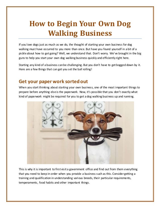 How To Begin Your Own Dog Walking Business