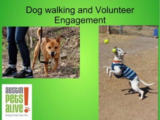 Dog walking and Volunteer
Engagement
 