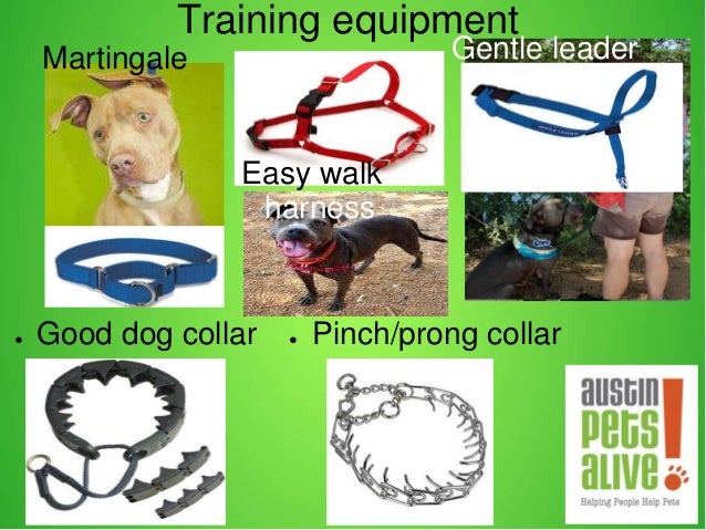 army dog tags for sale