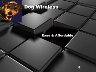 Dog Wireless Easy & Affordable 