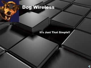 Dog Wireless It's Just That Simple!!   