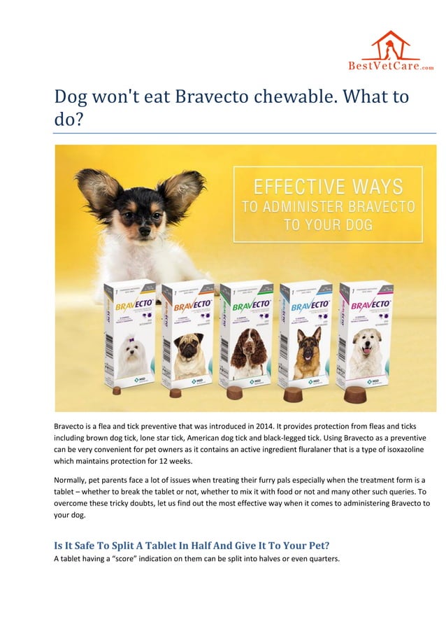 Dog won't eat Bravecto chewable? Tips for administering flea & tick
