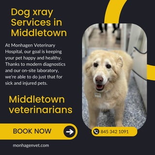 Dog xray
Services in
Middletown
Middletown
veterinarians
BOOK NOW 845 342 1091
monhagenvet.com
At Monhagen Veterinary
Hospital, our goal is keeping
your pet happy and healthy.
Thanks to modern diagnostics
and our on-site laboratory,
we're able to do just that for
sick and injured pets.
 